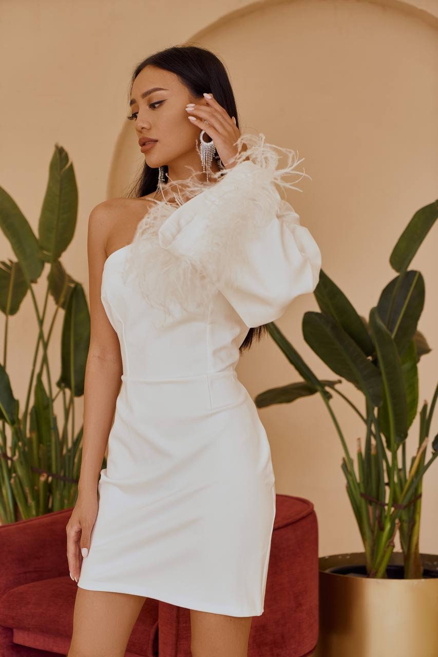 One Shoulder Mini Dress with Feathers