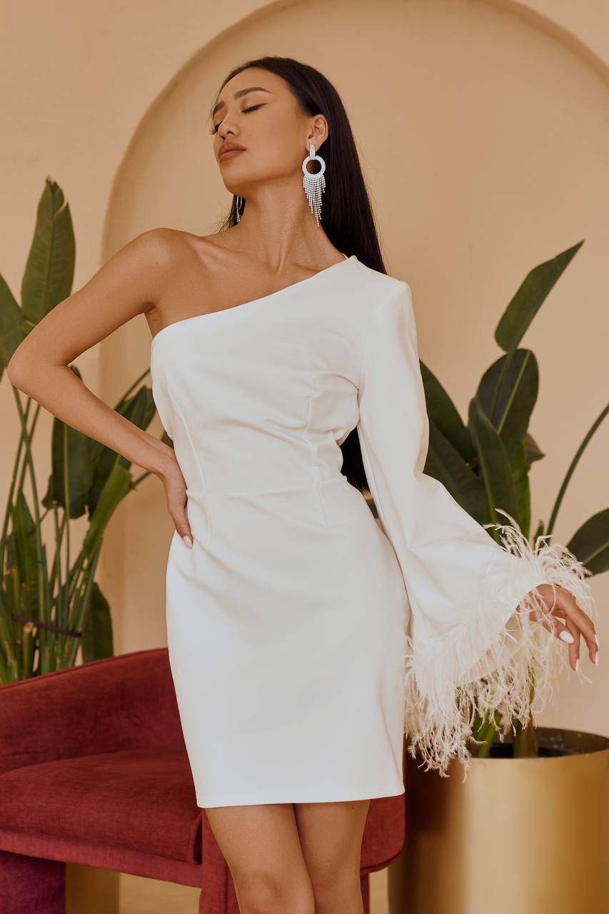 One Shoulder Mini Dress with Feathers